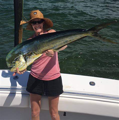 Live action sportfishing  Trips from: $700